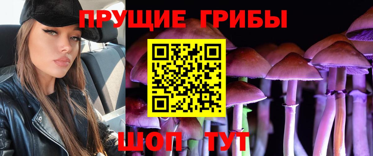 Ухта  Псилоцибиновые грибы Magic Shrooms  Вход с VPN  Галлюциногенные грибы мухоморы 